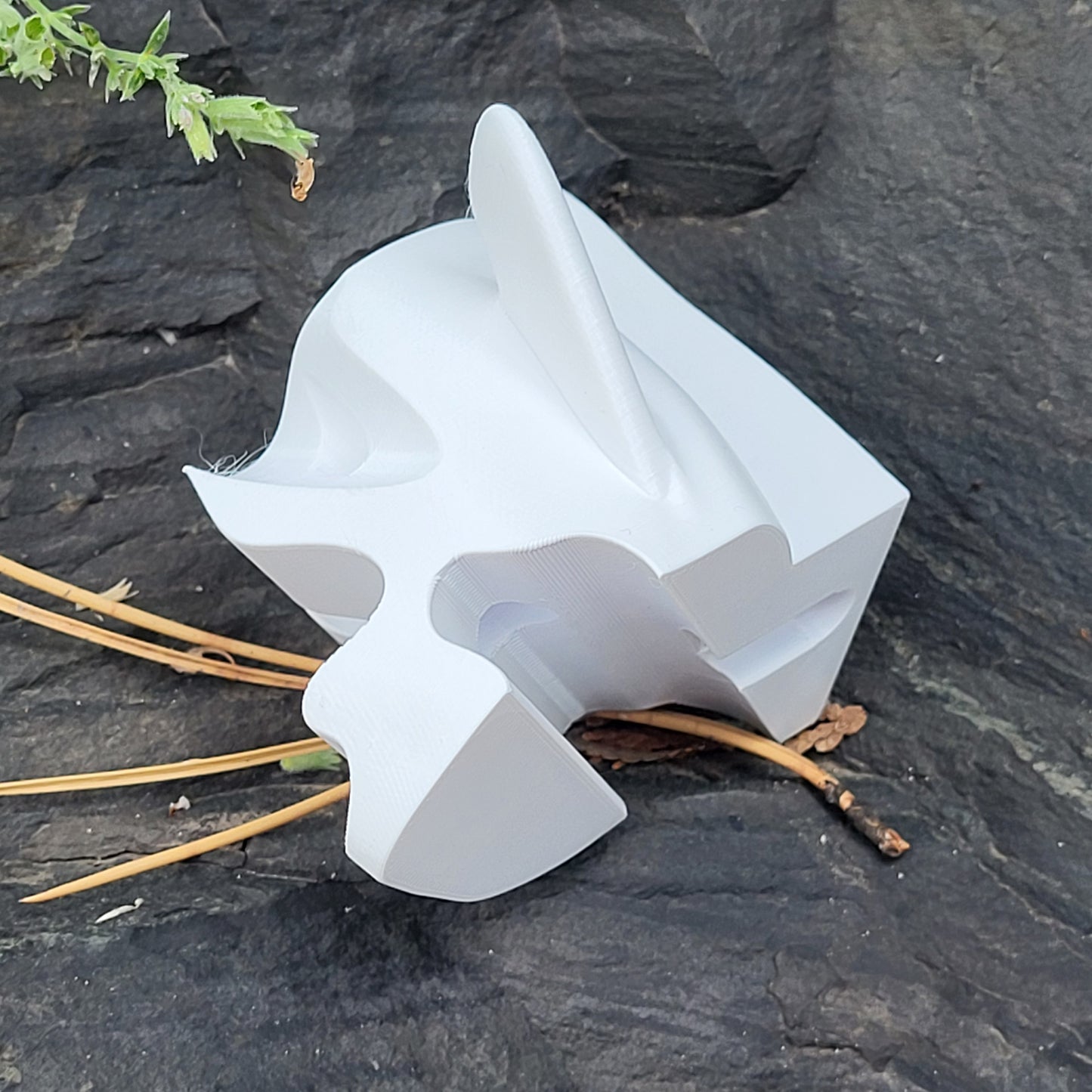 The Koi Puzzle