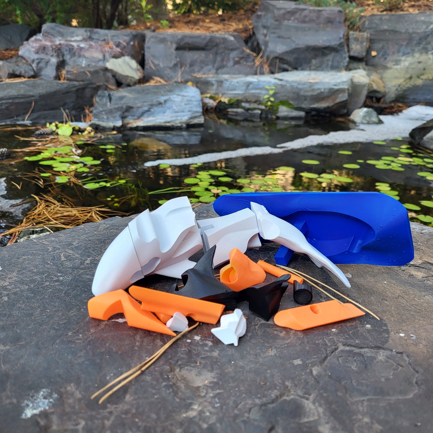 The Koi Puzzle